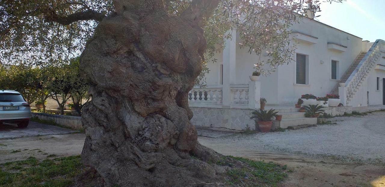 Le Stanze Di Casa Polinisso Guest House กาโรวิญโญ ภายนอก รูปภาพ